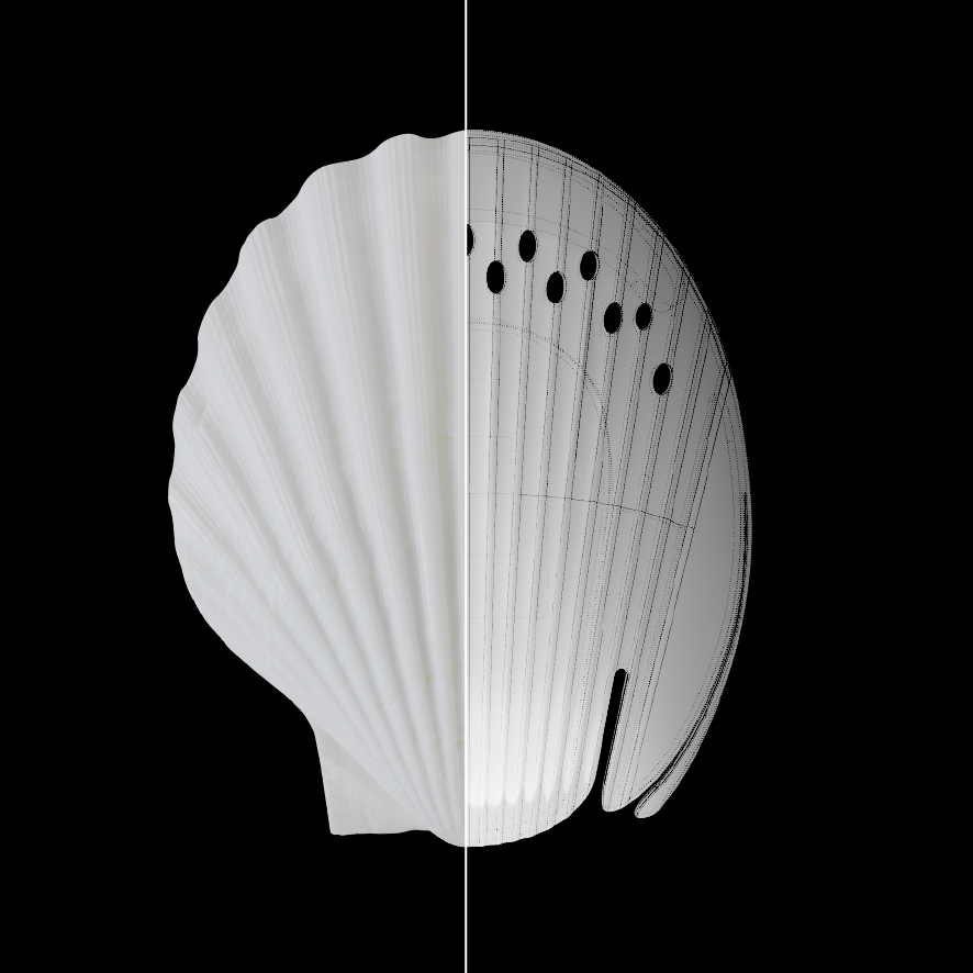 Forward WIP Surf Bump Cap