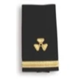 EPAULETTES GOLD PROPELLER - ENGINEER